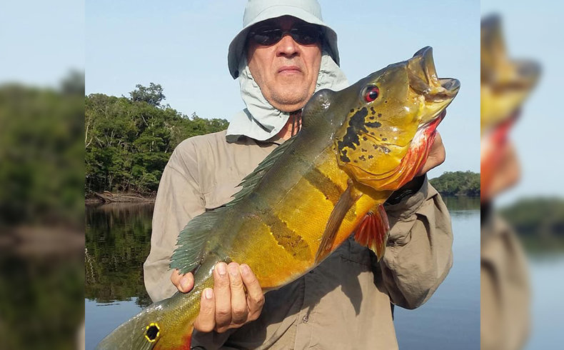 2019-03 - Peacock Bass (Anglers Inn Amazon)