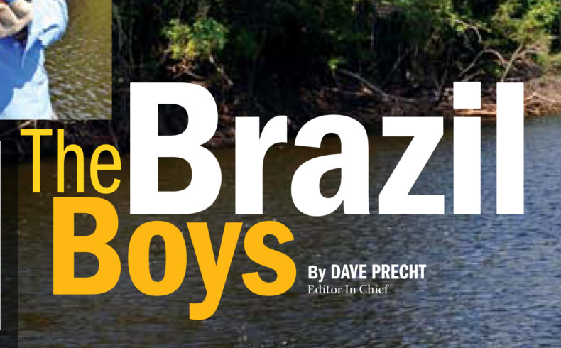 The Brazil Boys by Dave Precht