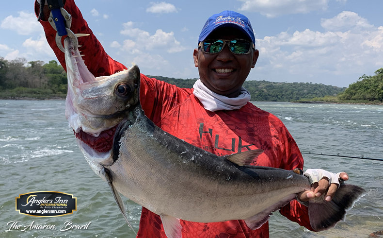 Anglers Inn  - Wolf Fish and Payara - Anglers Inn