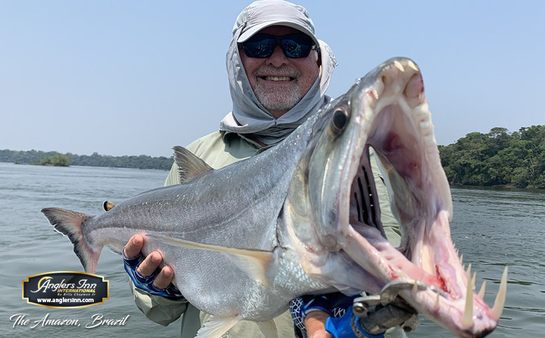 Anglers Inn Amazon - Wolf Fish and Payara - Anglers Inn