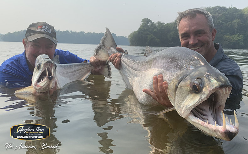 Anglers Inn  - Wolf Fish and Payara - Anglers Inn