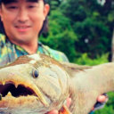 Wolf Fish 8