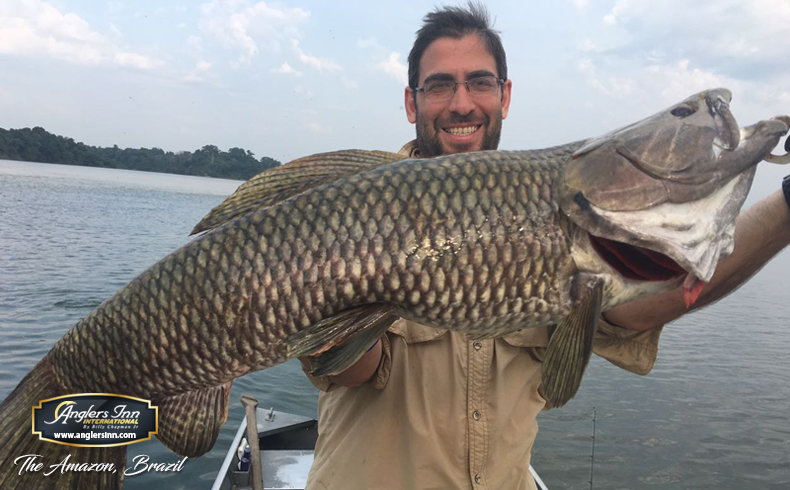  Brazil - Peacock Bass, Wolffish, and Catfish