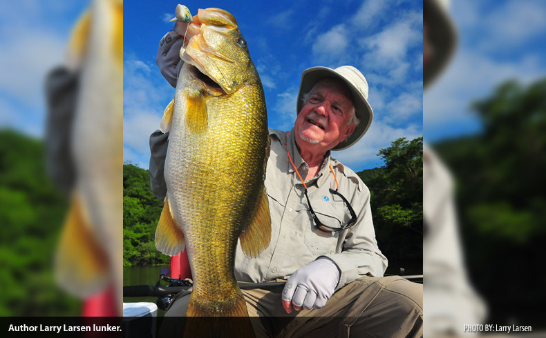 Our Top Five Strike King Lures for Big Mexican Bass — Half Past