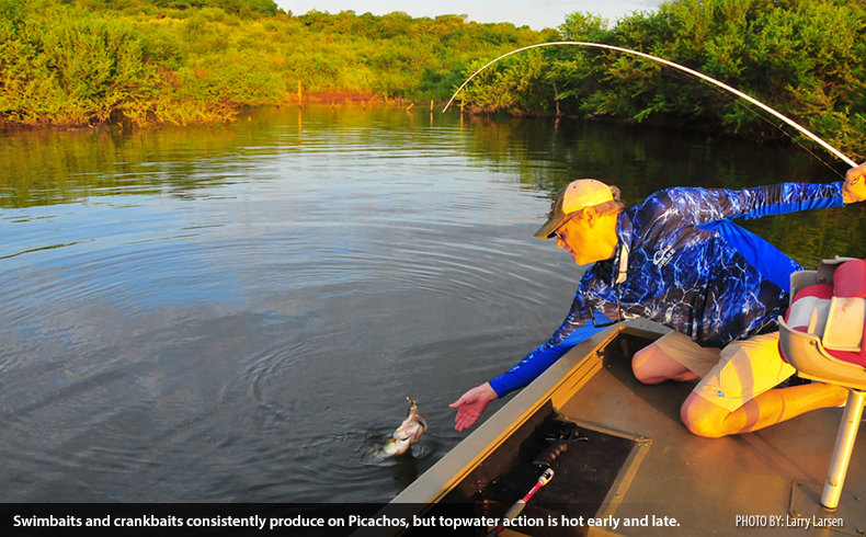 Pike and Spot Fishing for Bass in the Midwest, Fly Fishing Insider Podcast, Podcasts on Audible