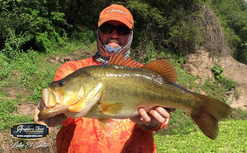 Spinnerbaits for El Salto and Picachos — Half Past First Cast