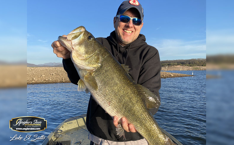 Our Top Five Zoom Baits for Big Mexican Bass — Half Past First Cast