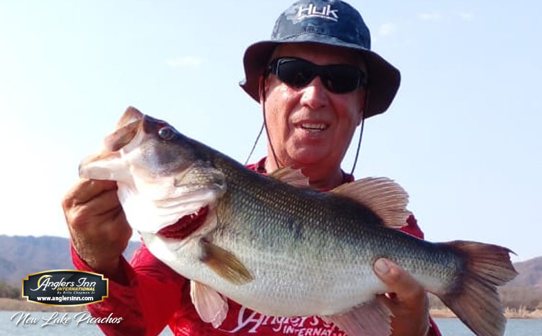 Lizards are a Must-Have for Mexican Bass — Half Past First Cast