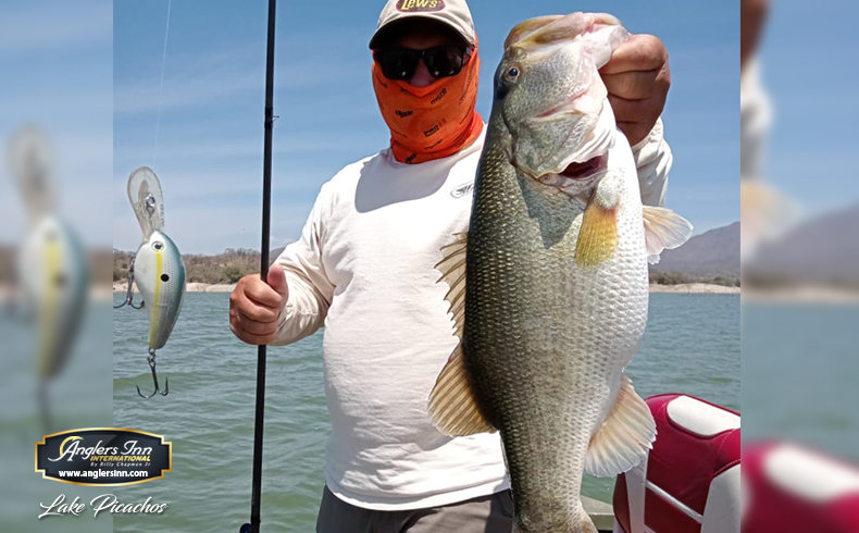 Fishing a TROPHY Bass Lake w/ NEW Googan Squad Reels!! (Worth it