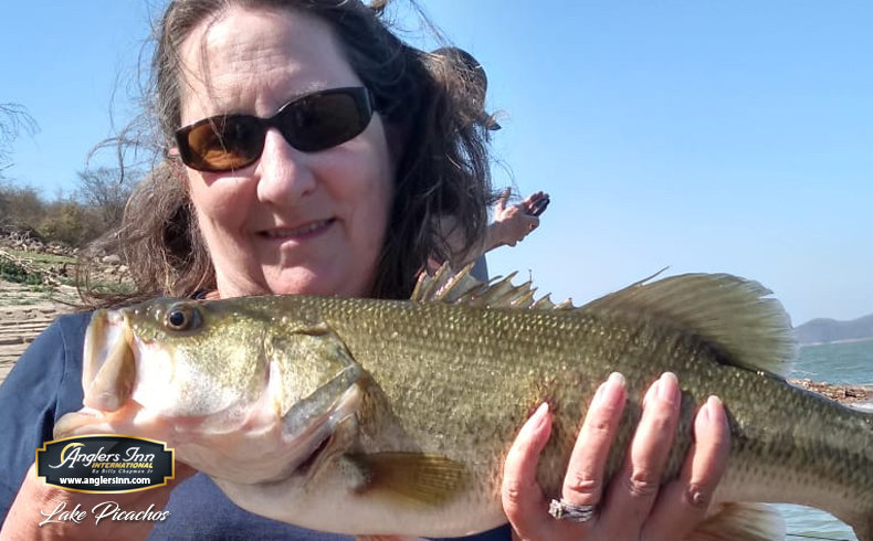 Lake McBride Fishing Report for Largemouth Bass(Aug 15, 2023