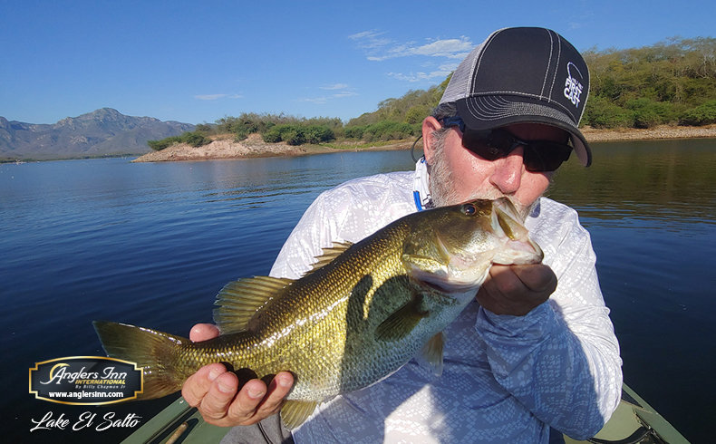 Three Lures That Deserve a Second Chance at El Salto — Half Past First Cast