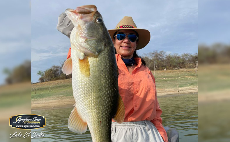 Flukes For Bass in Late June