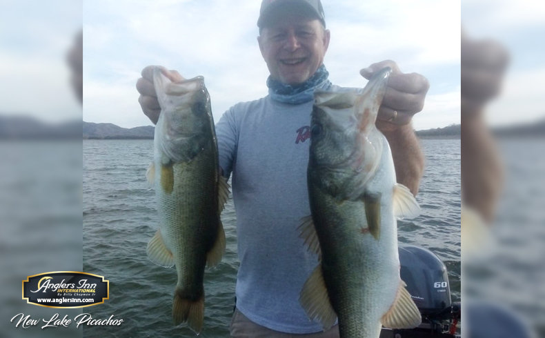 Topwater Bite at Roosevelt Lake (Tournament Practice Day) 