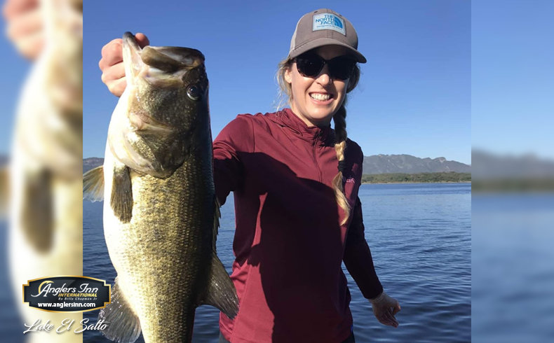 Gone In 60 Seconds: Brazil's  Peacock Bass A Big Hit For