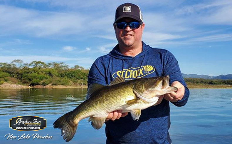 Lake El Salto, New Lake Picachos and Brazil: February ...