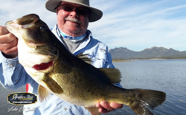 Lake El Salto, New Lake Picachos and Brazil: February ...