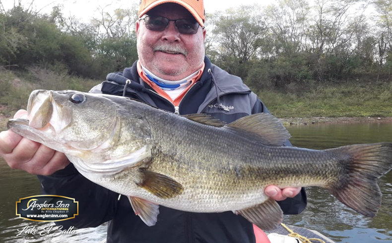 Lake El Salto, New Lake Picachos and Brazil: February ...