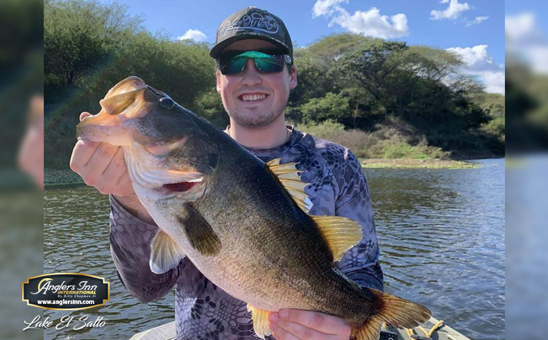 Gone In 60 Seconds: Brazil's  Peacock Bass A Big Hit For