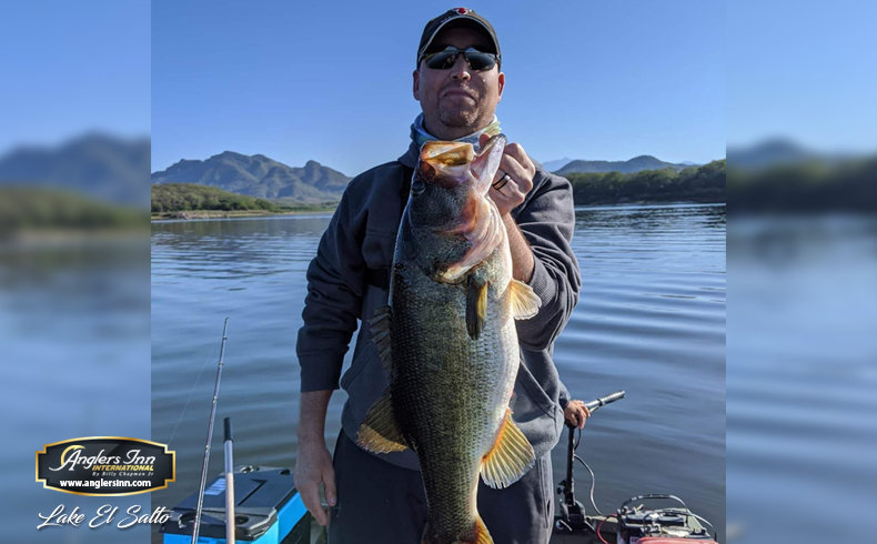 Lake El Salto, New Lake Picachos and Brazil: February ...