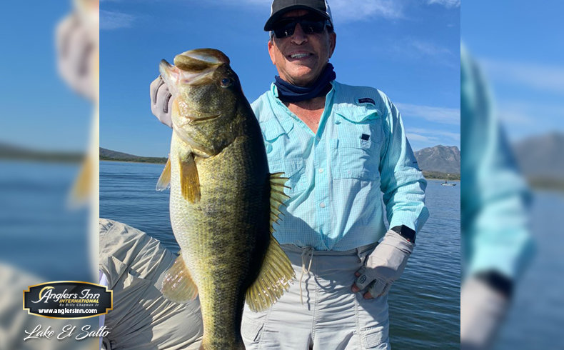 Gone In 60 Seconds: Brazil's  Peacock Bass A Big Hit For