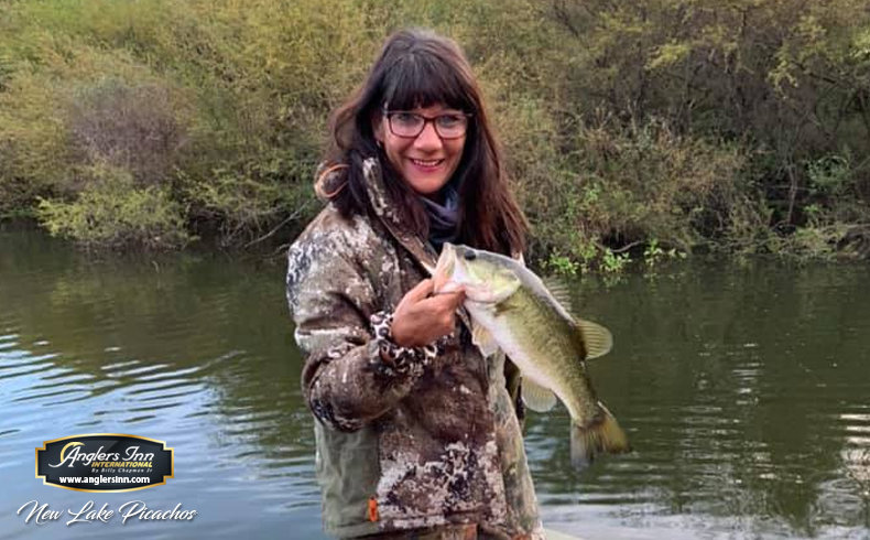 Topwater FROG FISHING is a BLAST!!! (INTENSE POND CHALLENGE) 