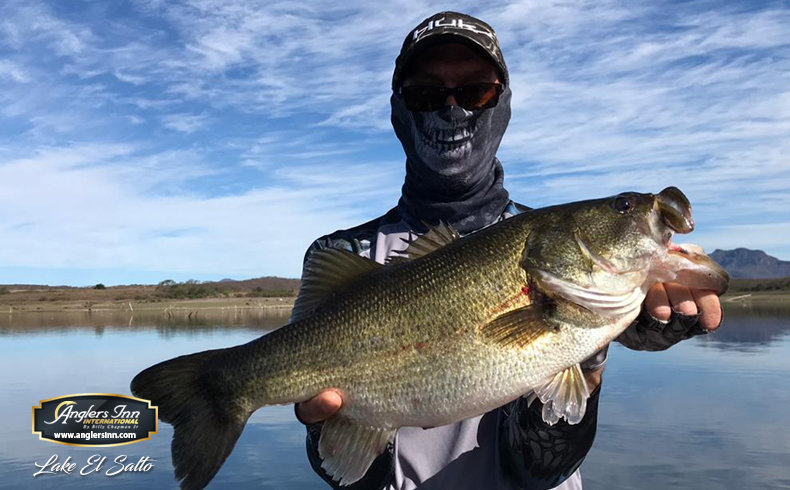 Lake El Salto, New Lake Picachos and The : February & March 2019 - Anglers  Inn