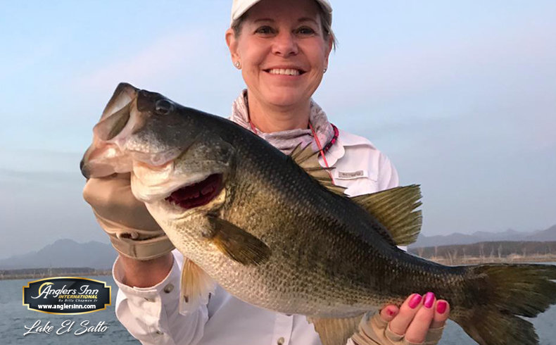 Our Top Five Berkley Lures for Big Mexican Bass — Half Past First