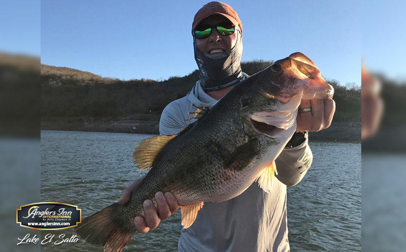 Lake El Salto, New Lake Picachos and The : January & February 2019 -  Anglers Inn