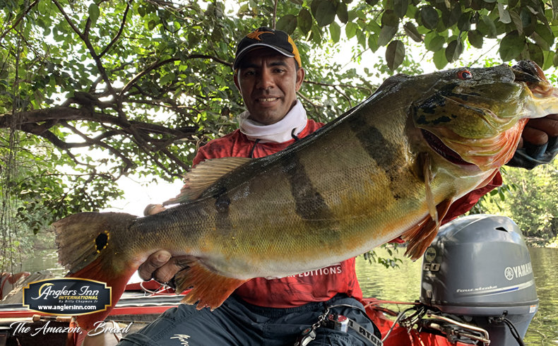 Lake El Salto, New Lake Picachos and The : January & February 2019 -  Anglers Inn