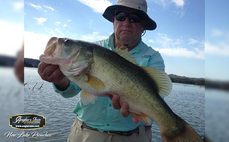 Lake El Salto, New Lake Picachos and The : January & February 2019 -  Anglers Inn