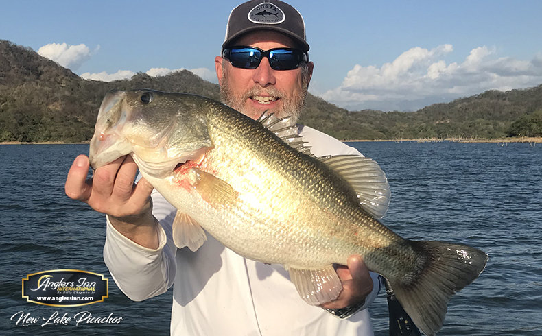 Best Ultra-Deep Diving Crankbaits for Offshore Mexican Bass — Half Past  First Cast