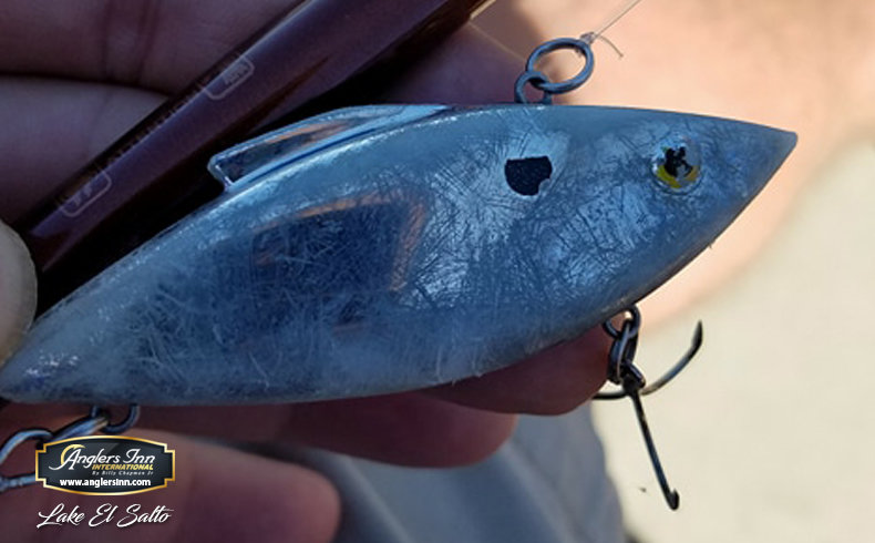 this lure is undoubtedly the senko of swimbaits. the keitech swing imp