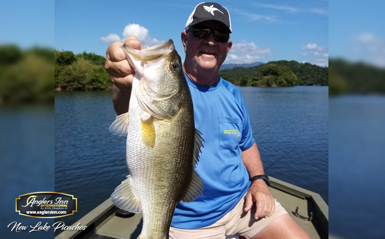 Gone In 60 Seconds: Brazil's  Peacock Bass A Big Hit For