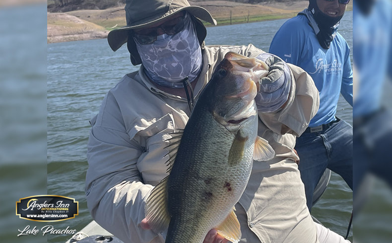 Lake El Salto, New Lake Picachos, The  and Crystal River