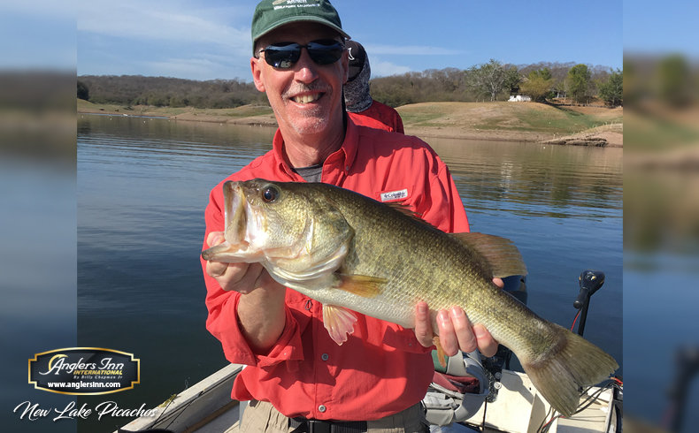 Jawbreaker VS Chatterbait 