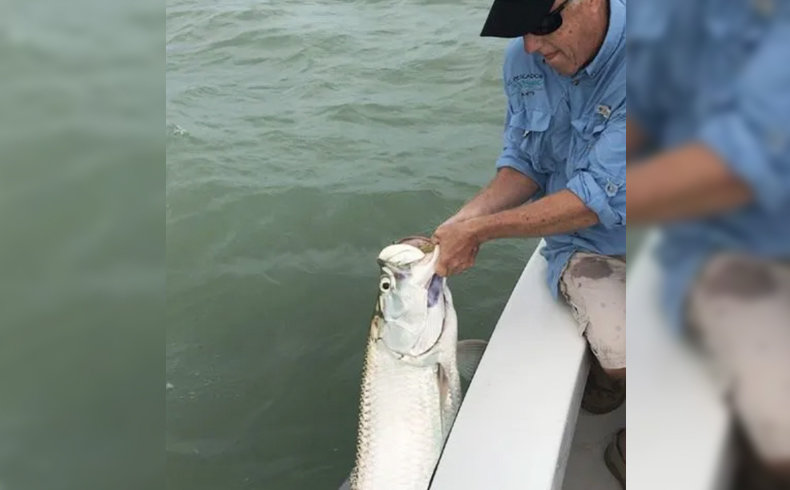 abu garcia Archives - Light Rock Fishing